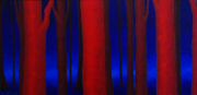 2009 - 50x100 - Bosco rosso.jpg