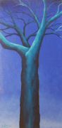 2005 - 120x60 - Albero notturno.jpg